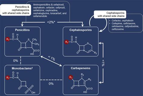 beta lactam side chain chart|β me etan n me l ne me e e n em emm V n .